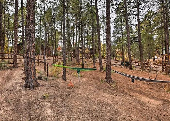 Trail Access: Pet-friendly In Show Low!